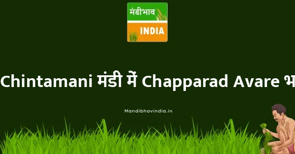 Chapparad Avare भाव